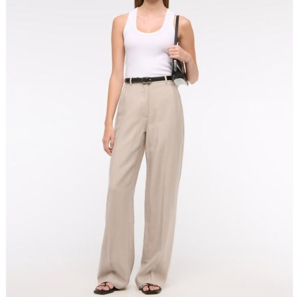 ABERCROMBIE & FITCH Drapey Tailored Wide Leg Pant Sand Sz M Long NWT {W38} - Picture 1 of 5